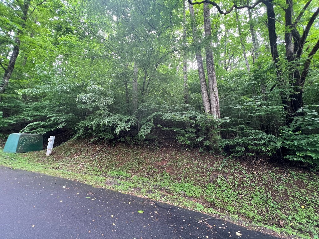 0 Ash Branch Circle LOT 13 C