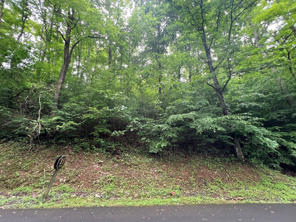 0 Ash Branch Circle LOT 13 C