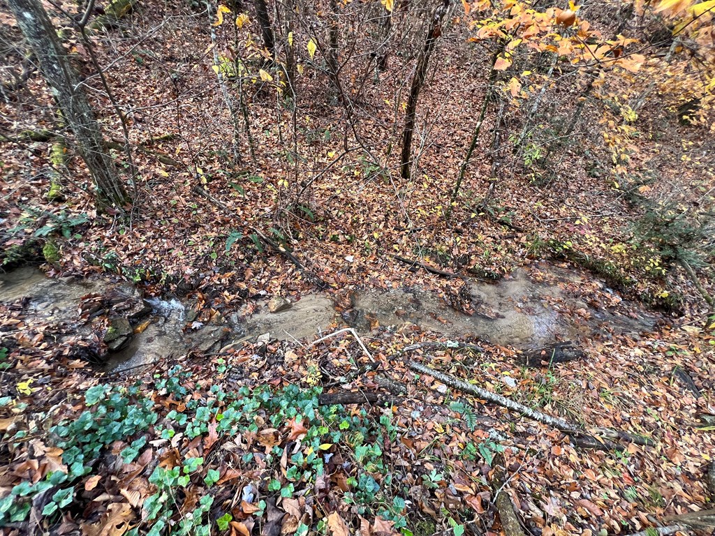 00 Battle Branch Rd