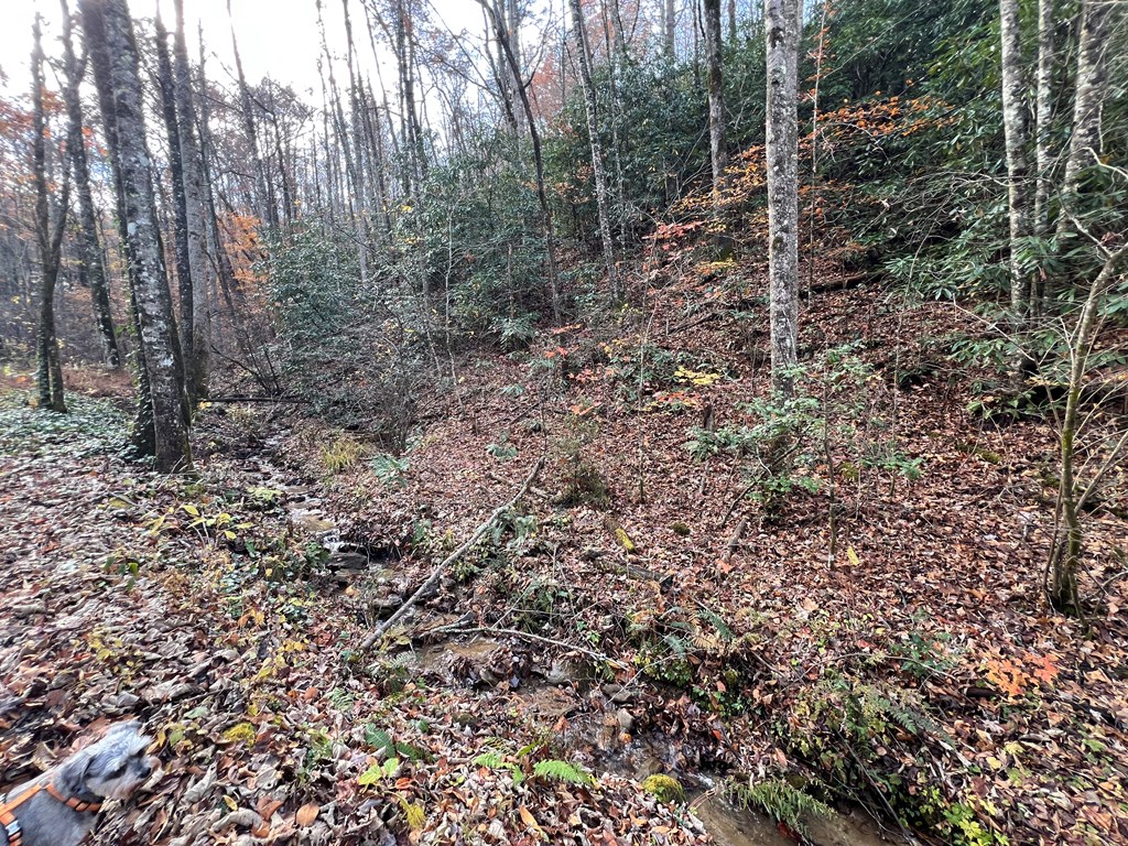 00 Battle Branch Rd