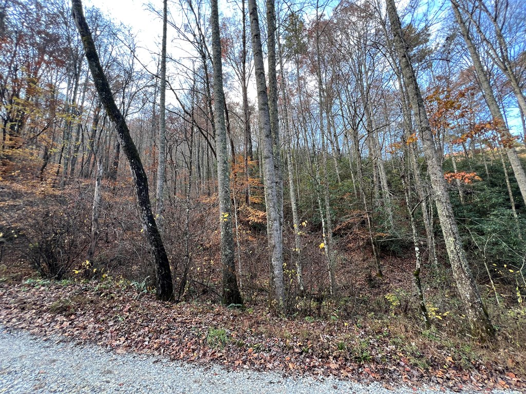 00 Battle Branch Rd