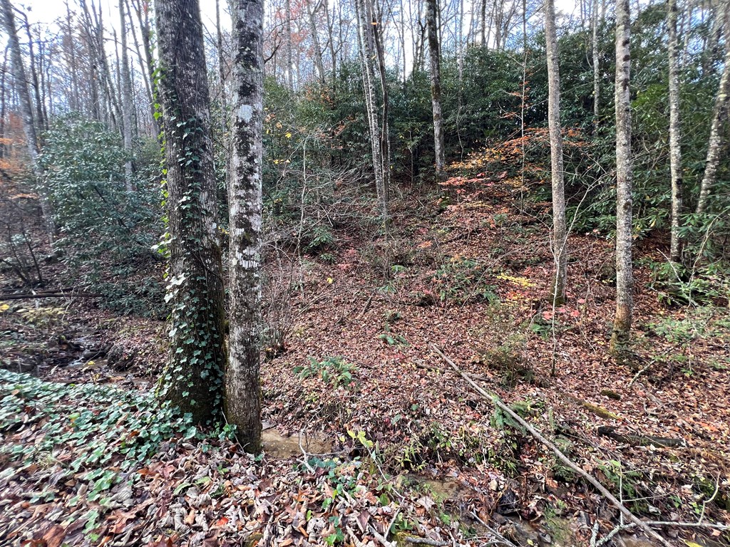 00 Battle Branch Rd