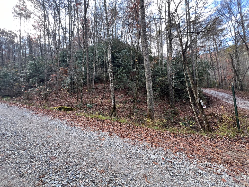 00 Battle Branch Rd