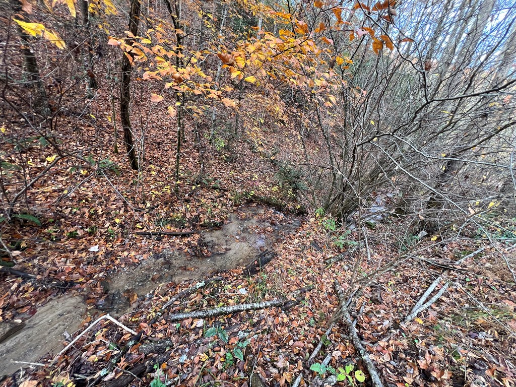 00 Battle Branch Rd