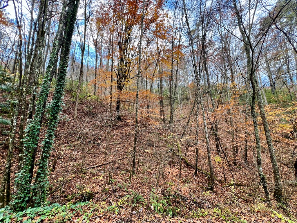 00 Battle Branch Rd