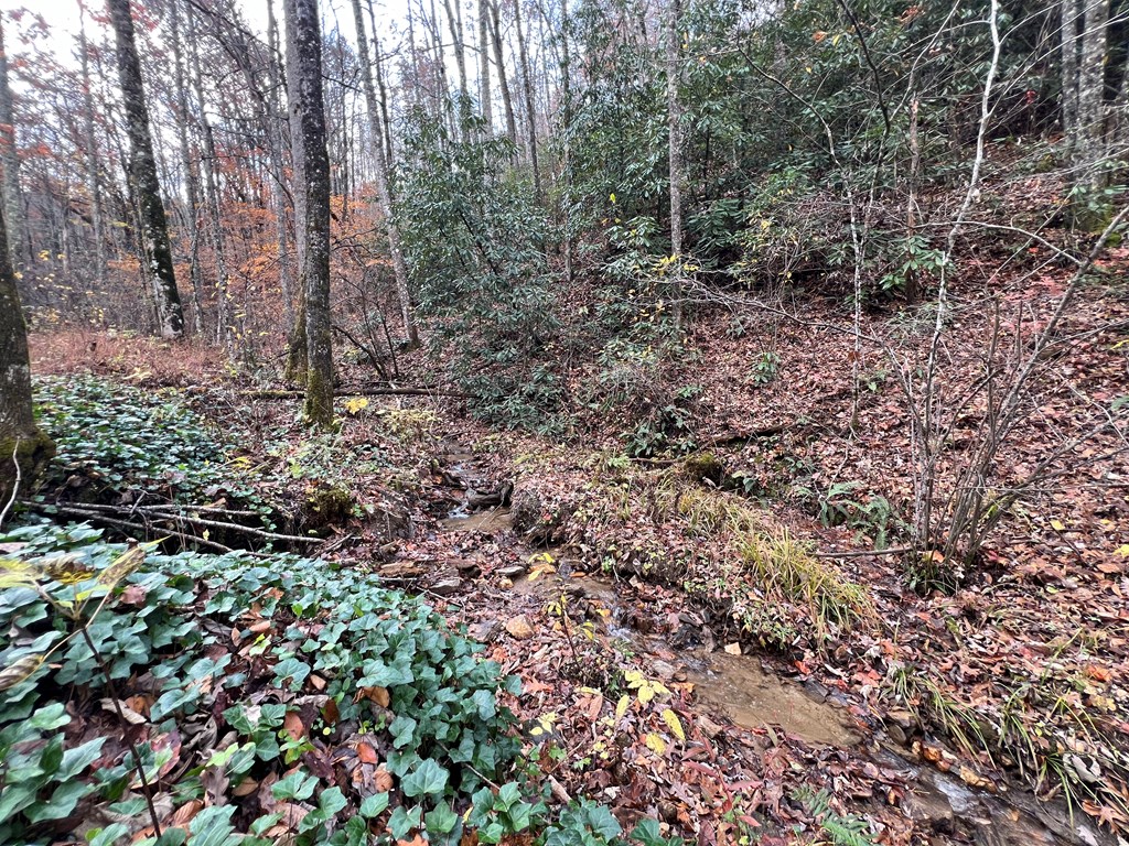 00 Battle Branch Rd