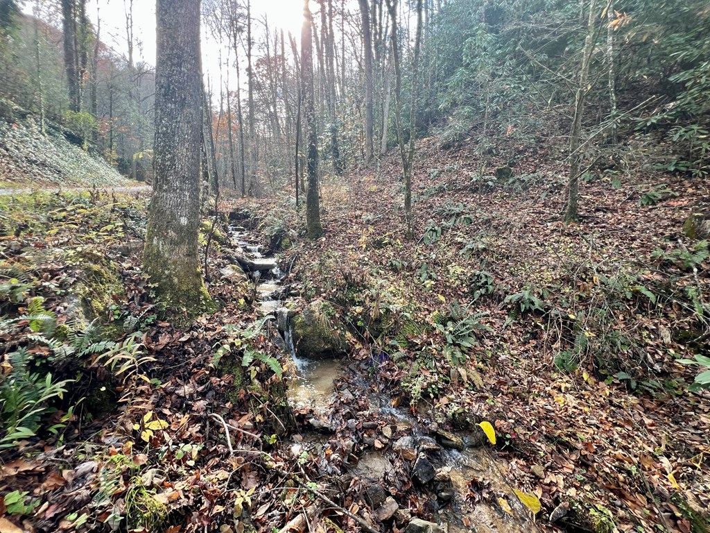 00 Battle Branch Rd