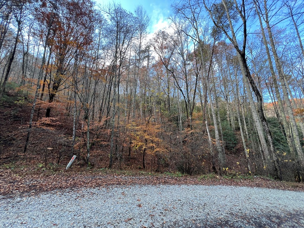 00 Battle Branch Rd