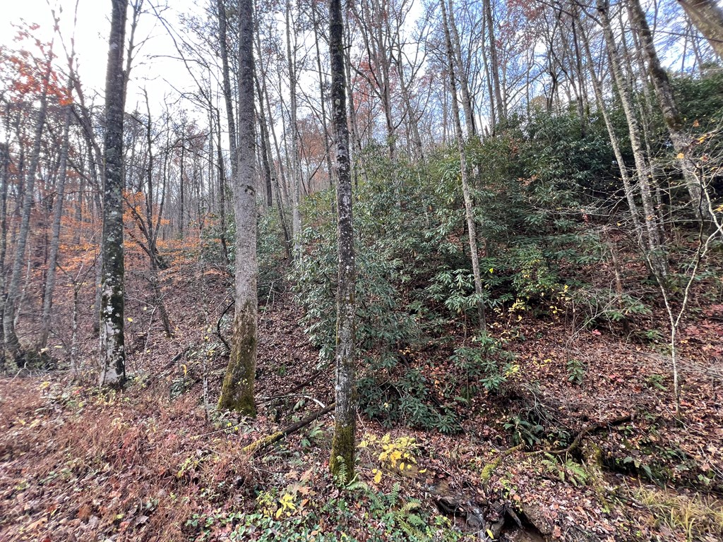 00 Battle Branch Rd