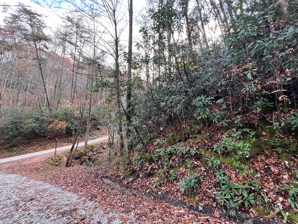 00 Battle Branch Rd