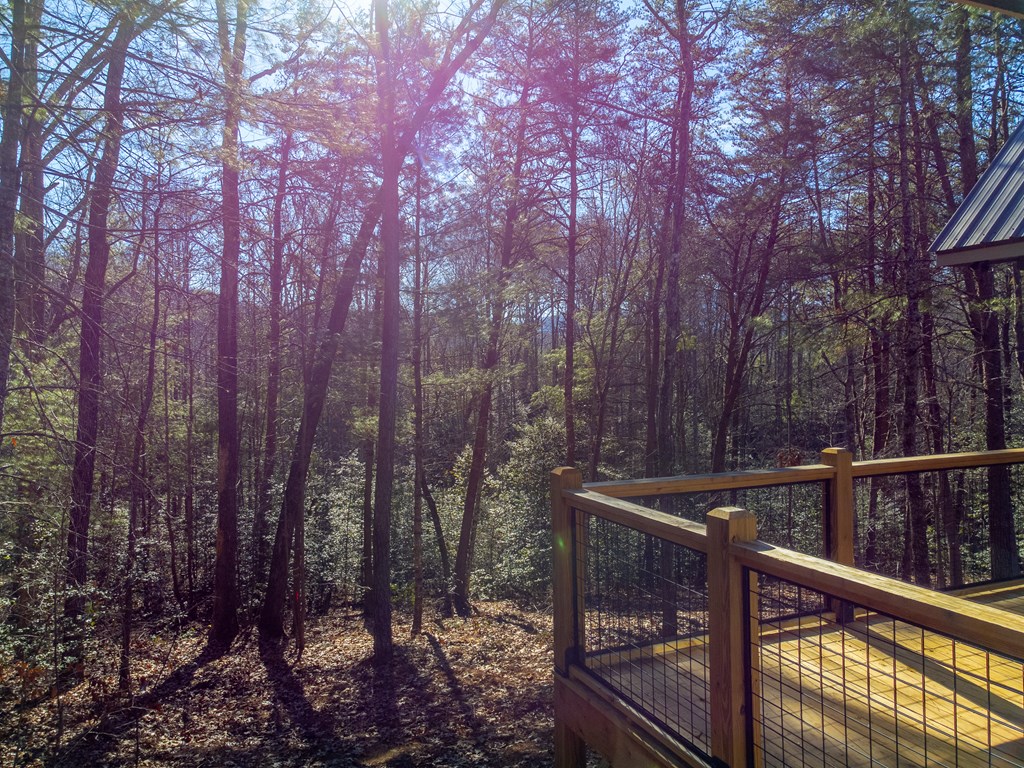 397 Kennelly Loop