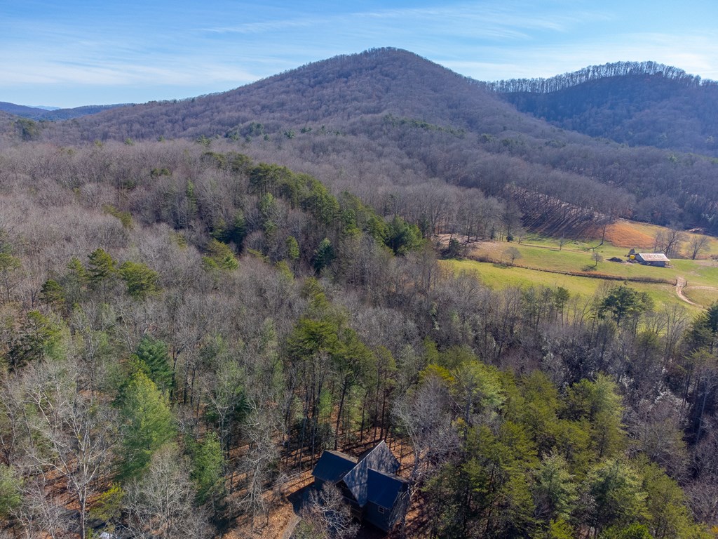 397 Kennelly Loop
