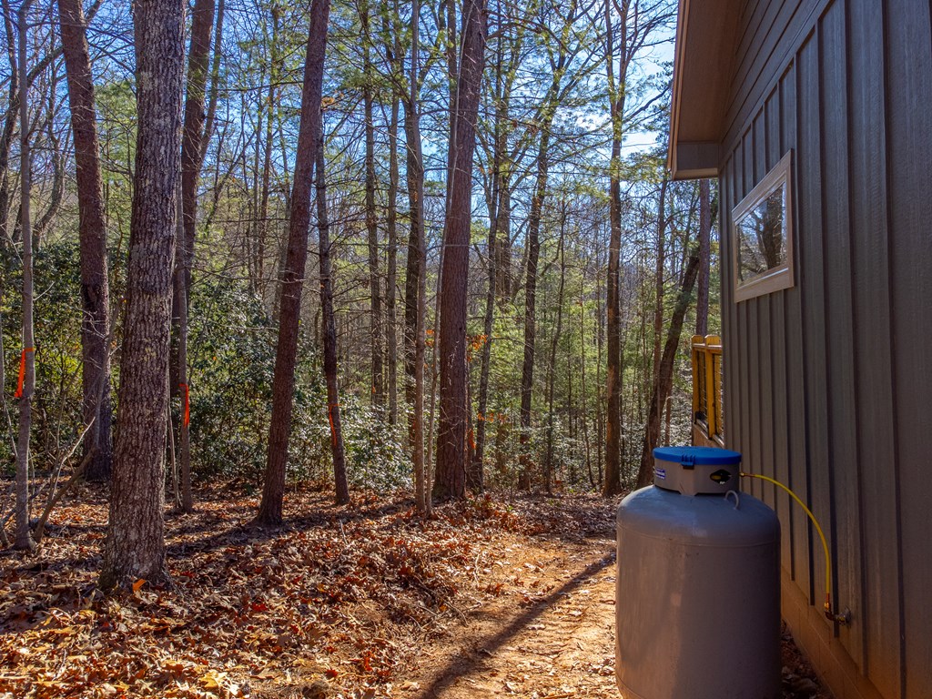 397 Kennelly Loop