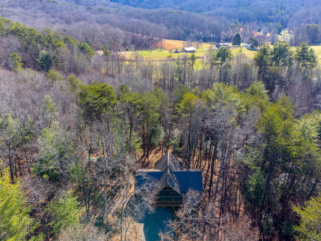 397 Kennelly Loop