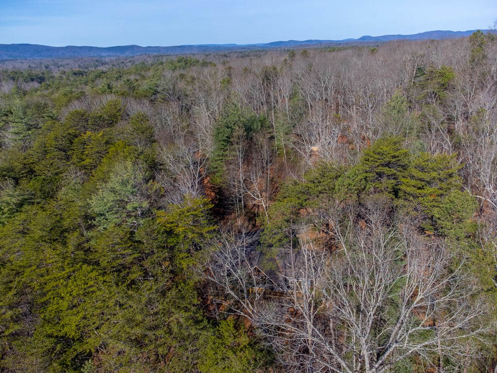 397 Kennelly Loop