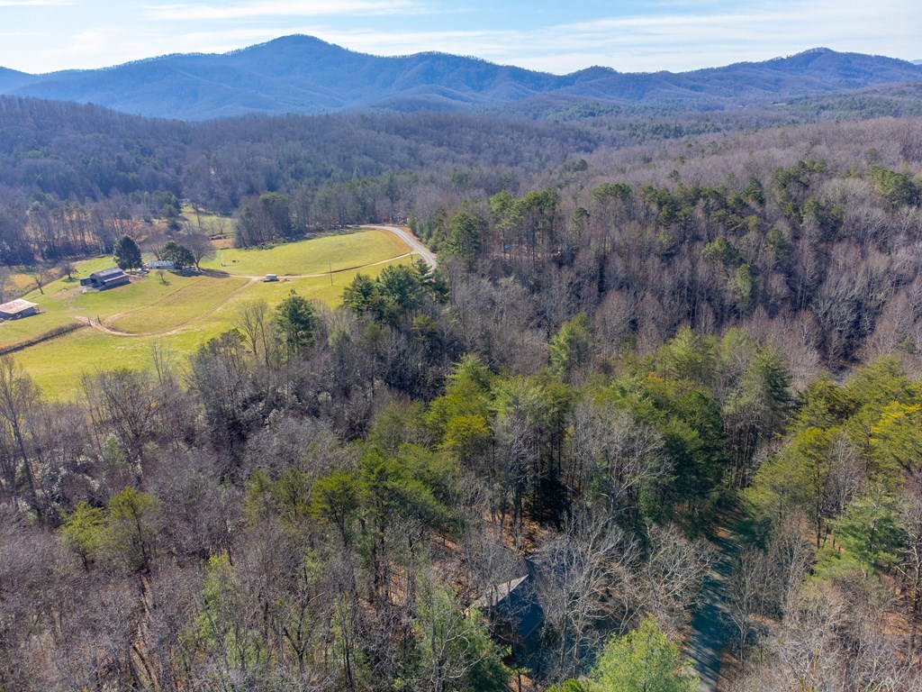 397 Kennelly Loop