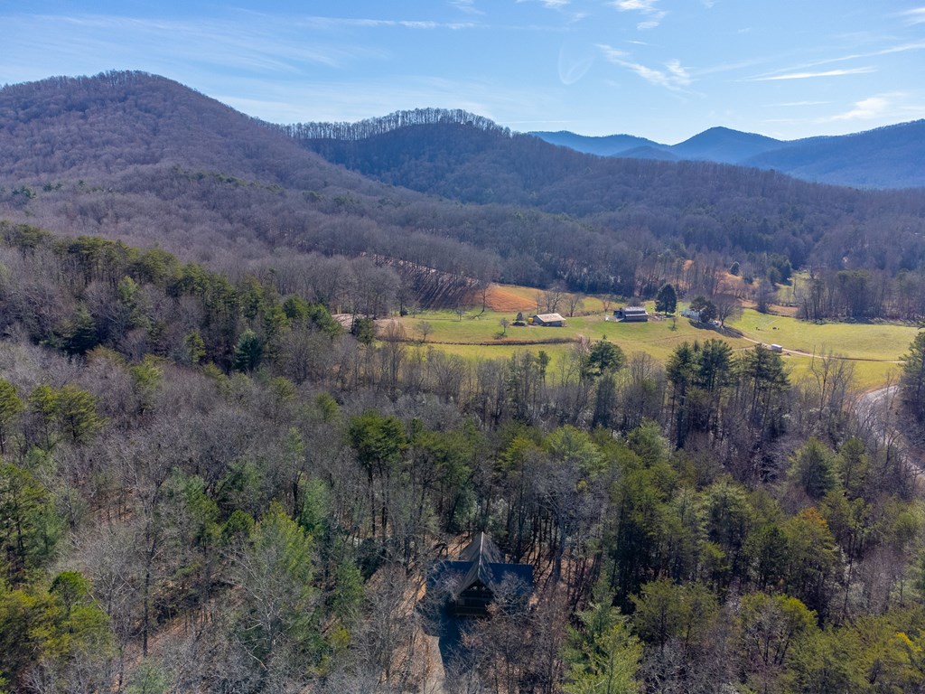 397 Kennelly Loop