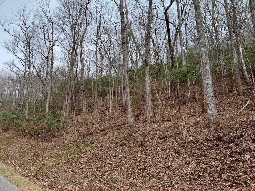 11 Houndog Trail