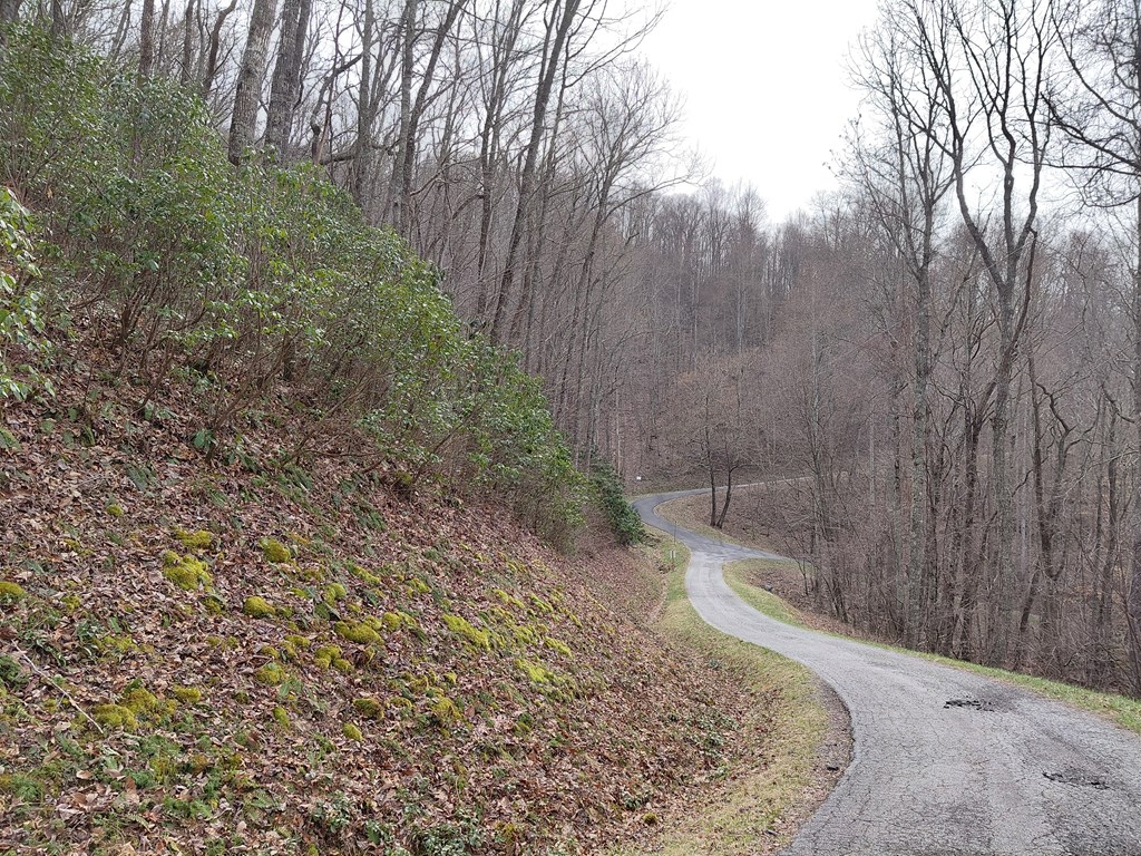 11 Houndog Trail