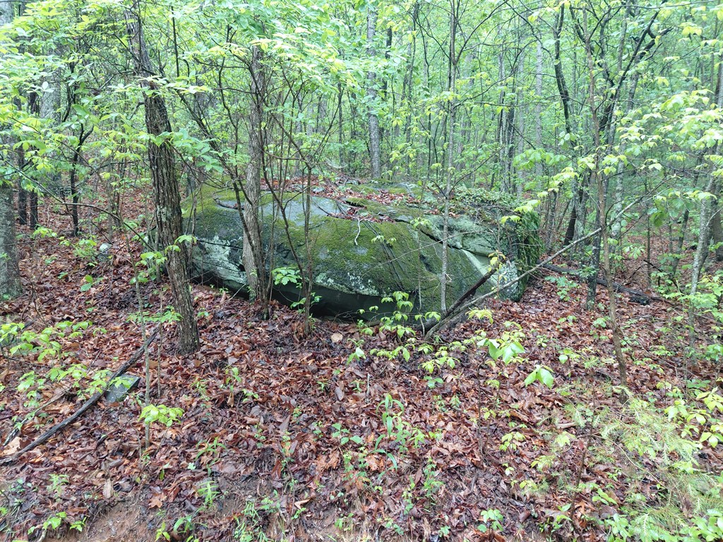 Lot 3 Burning Ember Trail