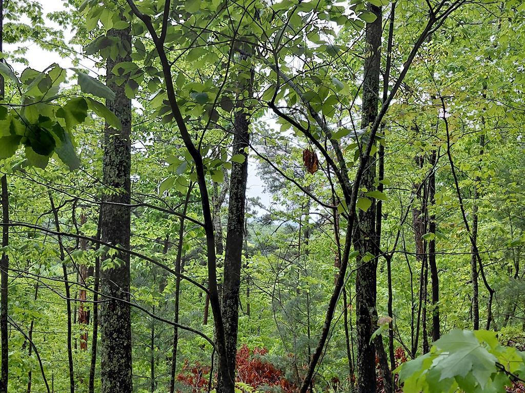 Lot 3 Burning Ember Trail