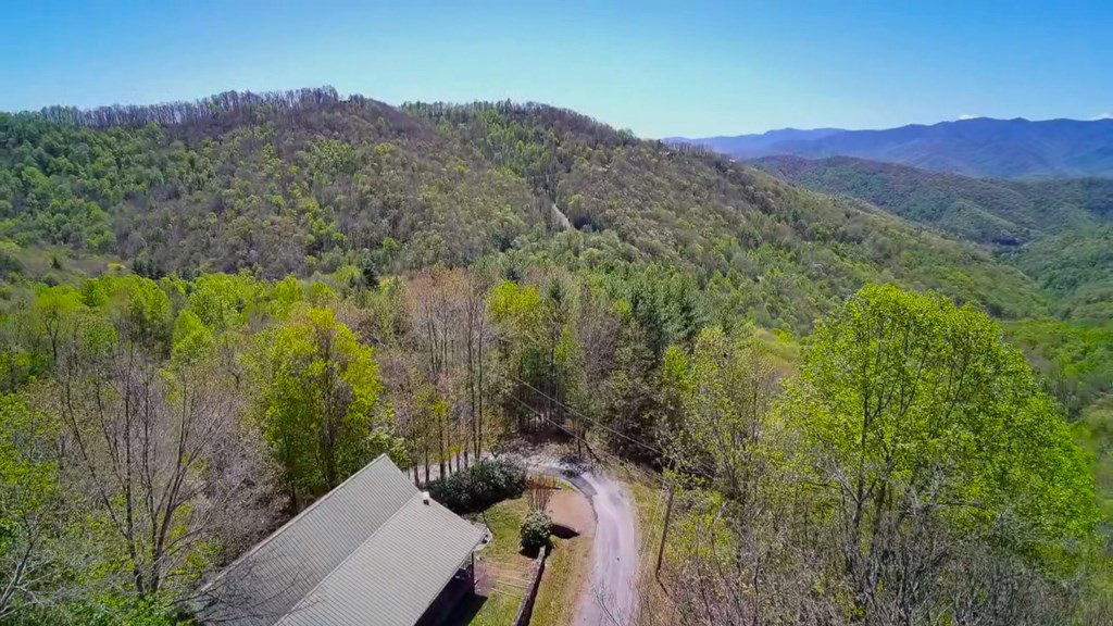 576 Grizzly Ridge