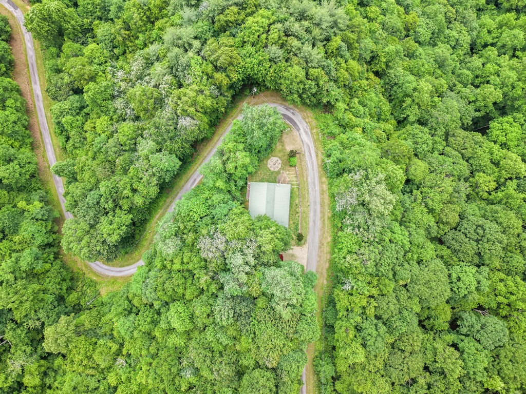 576 Grizzly Ridge