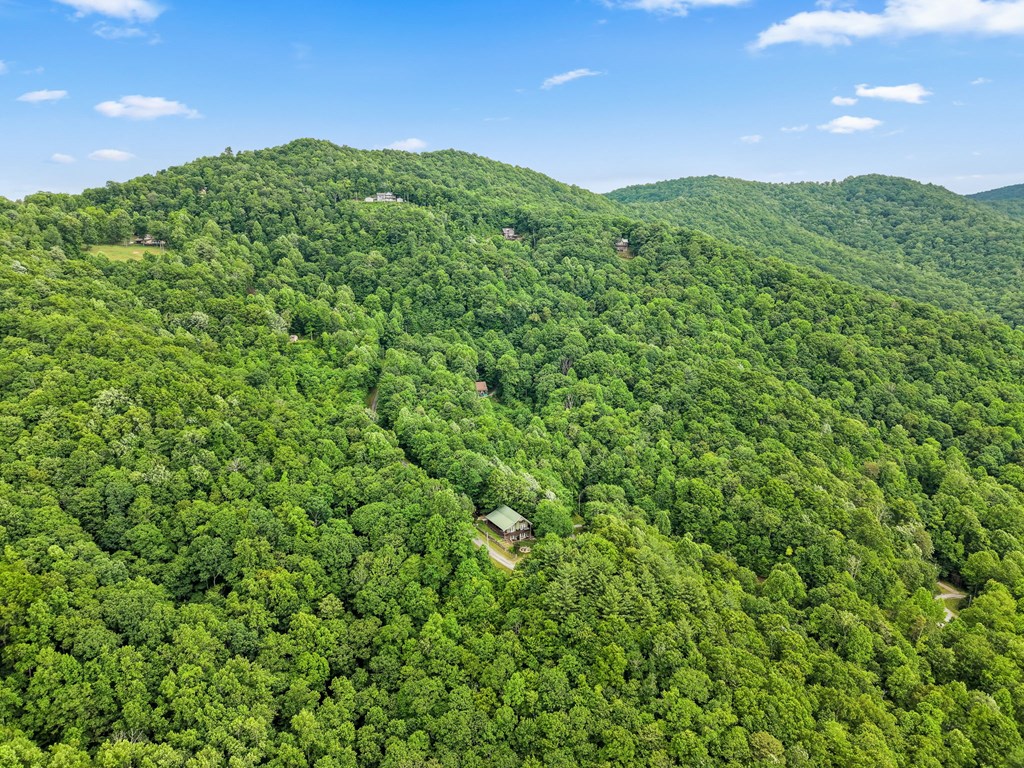 576 Grizzly Ridge