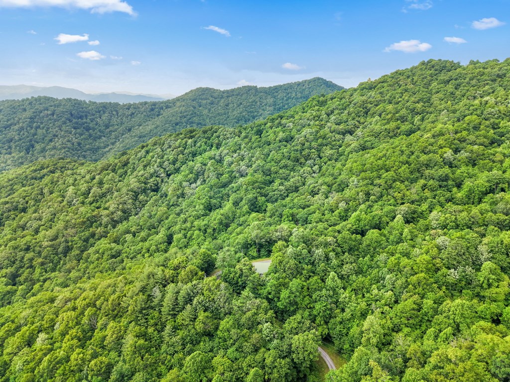 576 Grizzly Ridge