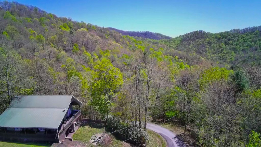 576 Grizzly Ridge