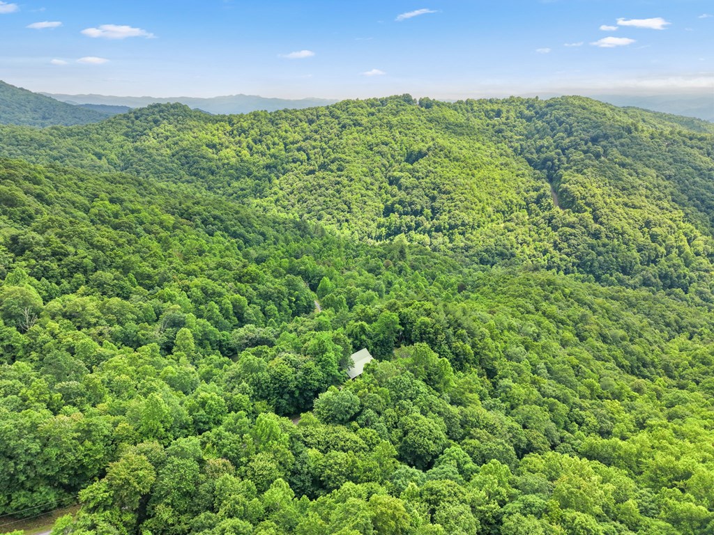 576 Grizzly Ridge