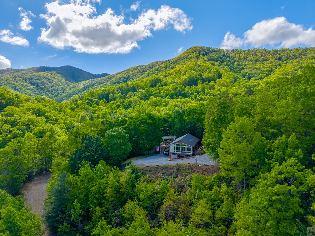 228 Old Owl Ridge