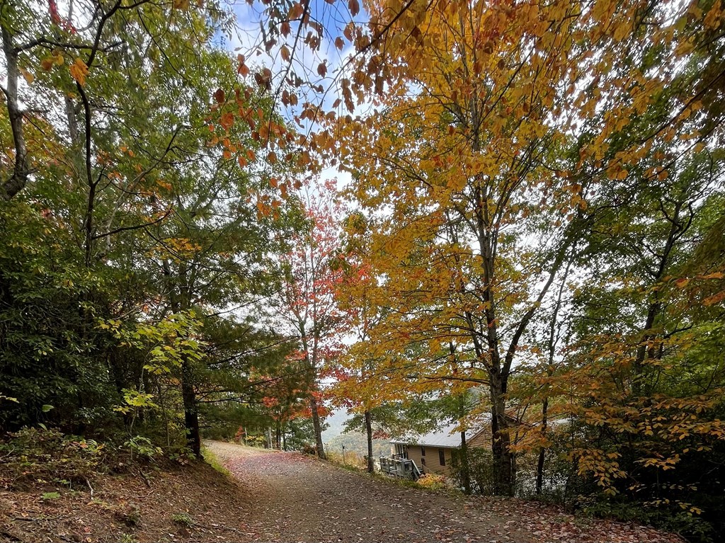 228 Old Owl Ridge