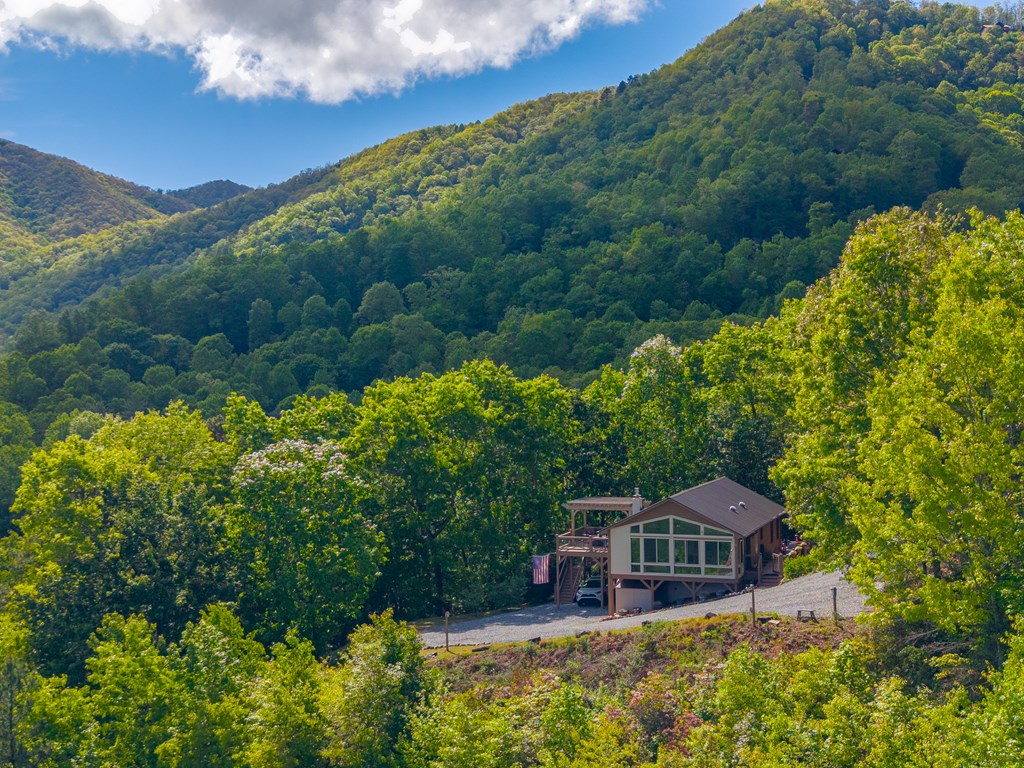 228 Old Owl Ridge