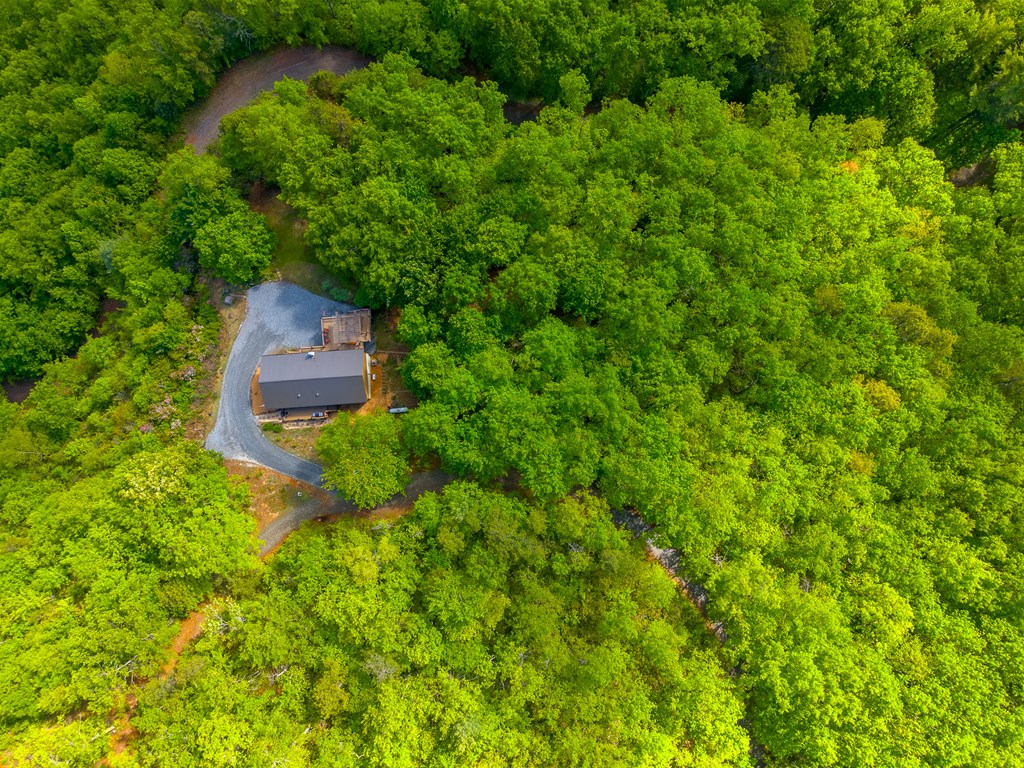 228 Old Owl Ridge