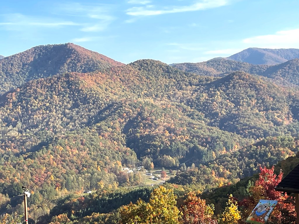 228 Old Owl Ridge