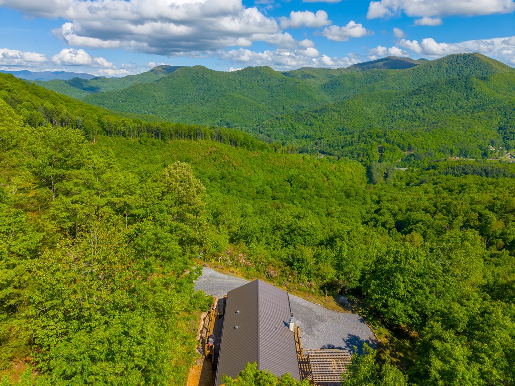 228 Old Owl Ridge