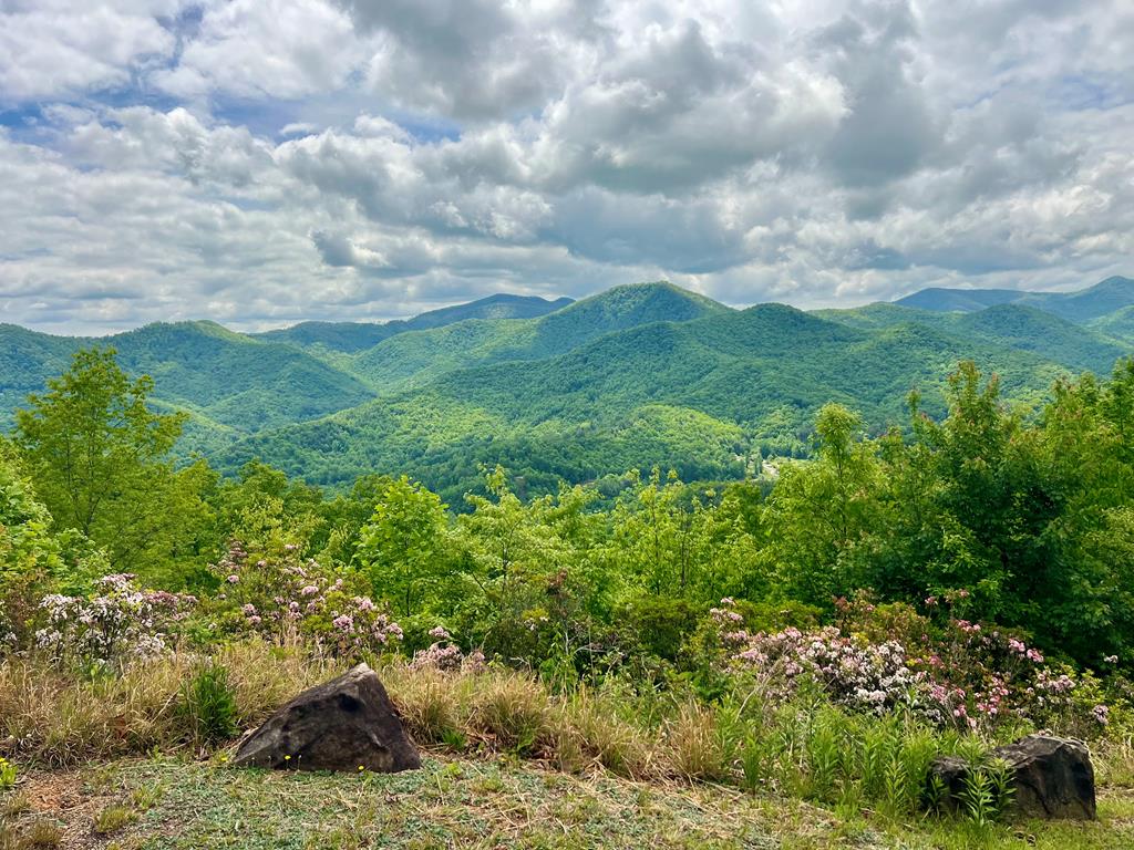 228 Old Owl Ridge