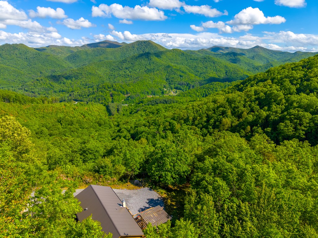 228 Old Owl Ridge