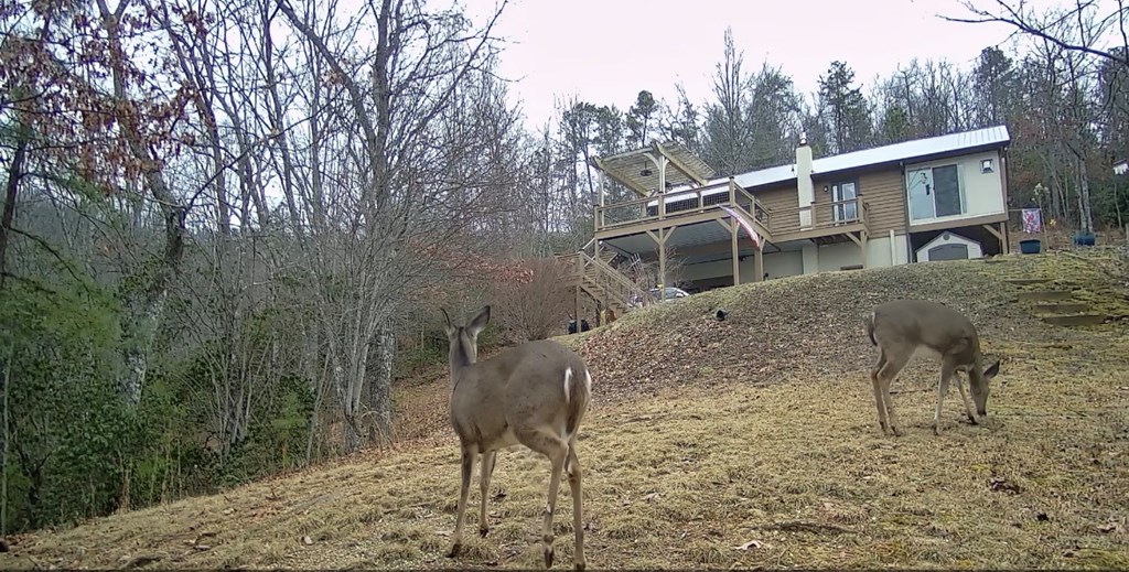 228 Old Owl Ridge