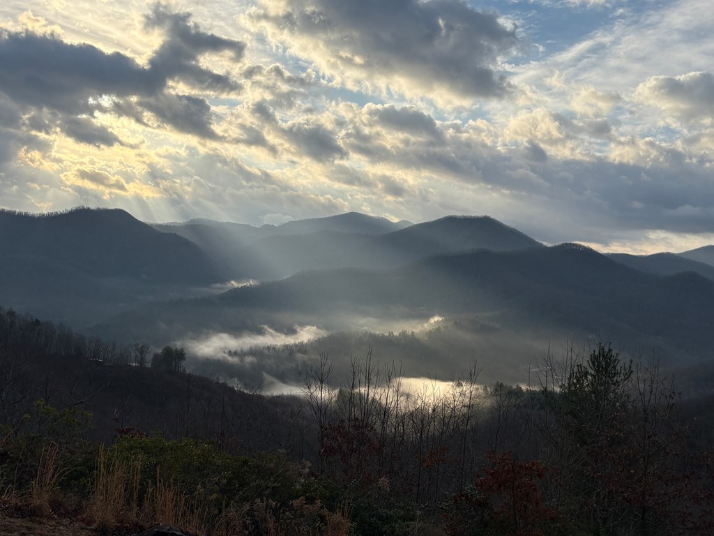 228 Old Owl Ridge