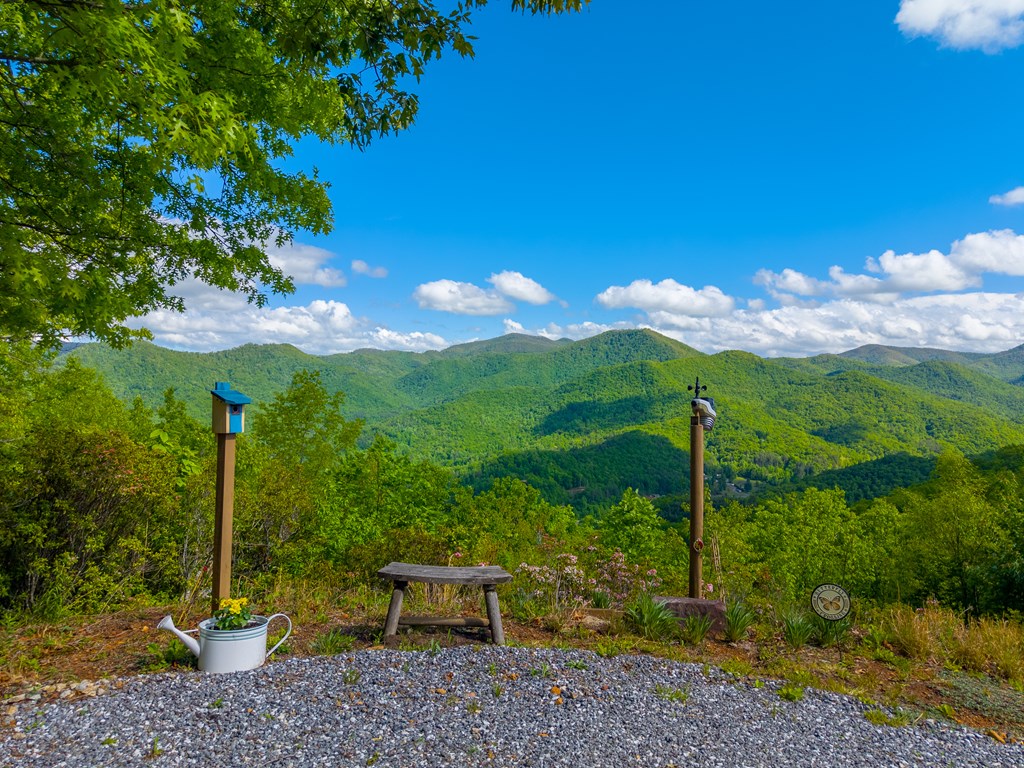 228 Old Owl Ridge