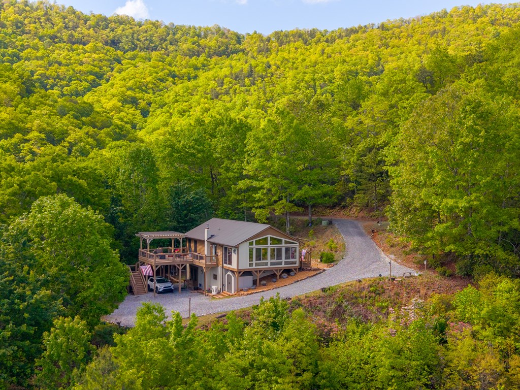 228 Old Owl Ridge
