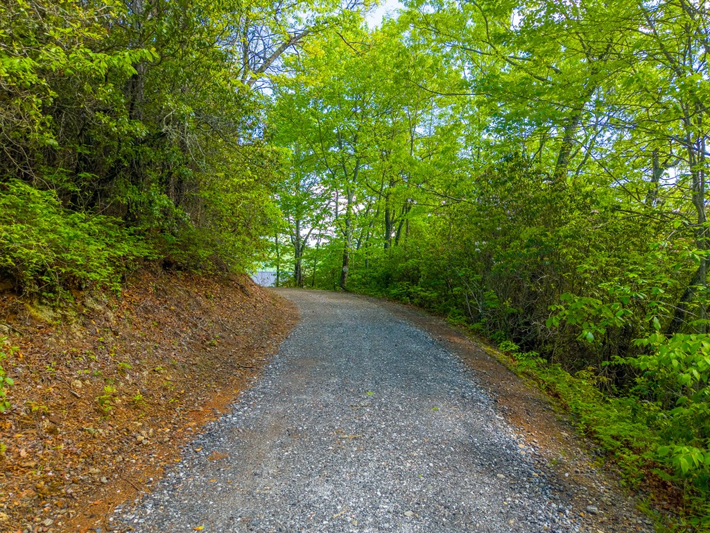 228 Old Owl Ridge