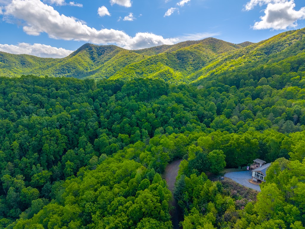 228 Old Owl Ridge