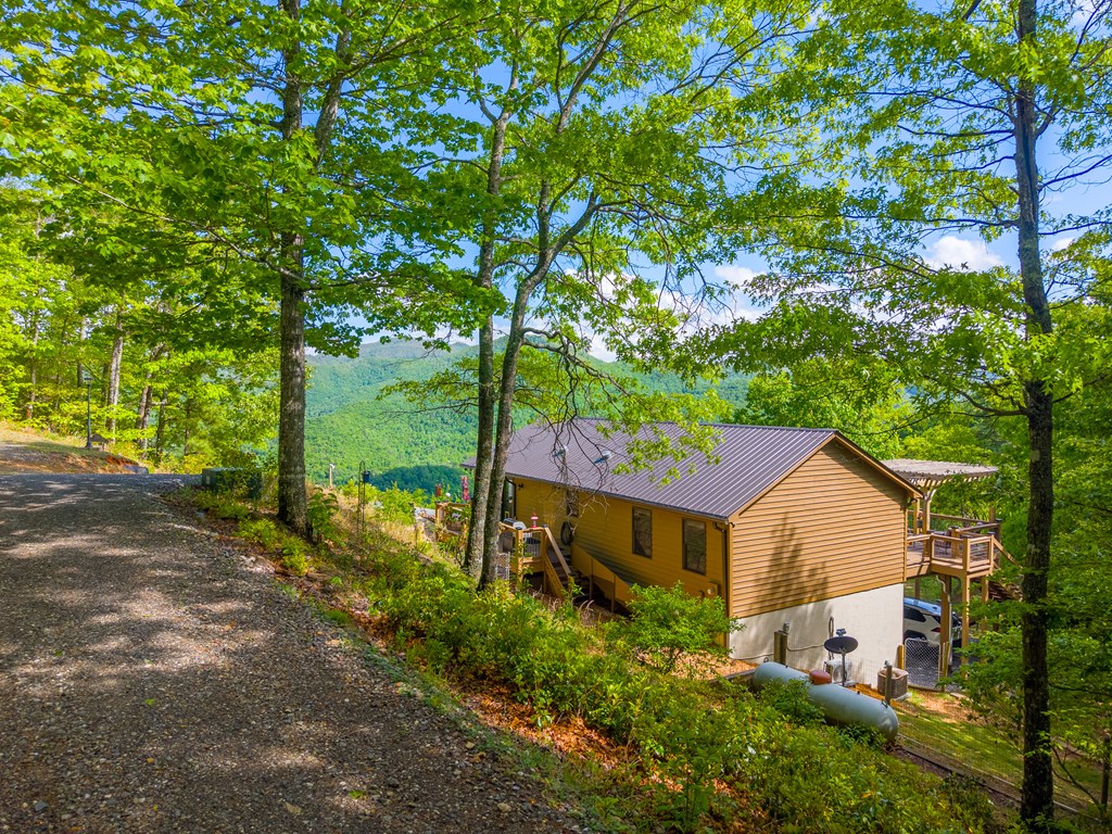 228 Old Owl Ridge