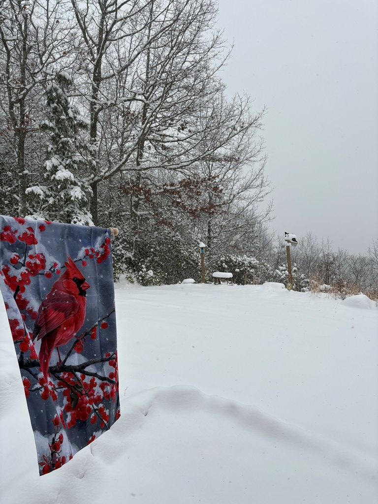 228 Old Owl Ridge