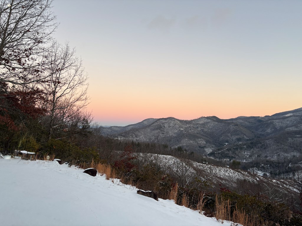 228 Old Owl Ridge