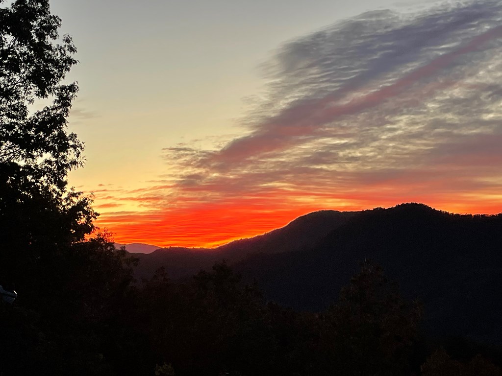 228 Old Owl Ridge