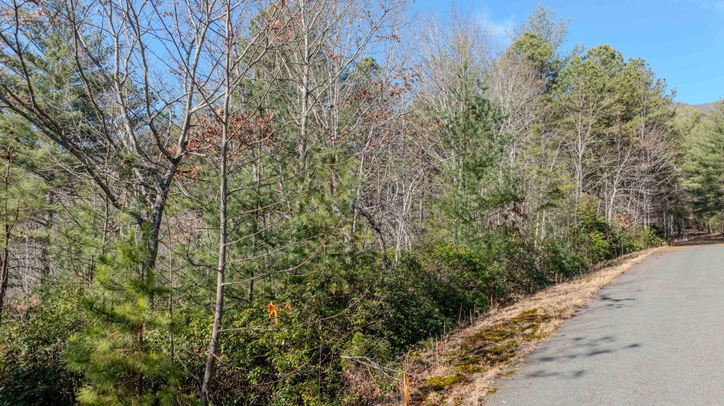 Lot 29 Broadtree Ridge